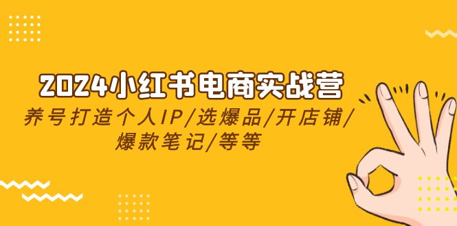 2024小红书电商实战营，养号打造IP/选爆品/开店铺/爆款笔记/等等（24节）-柠檬网创