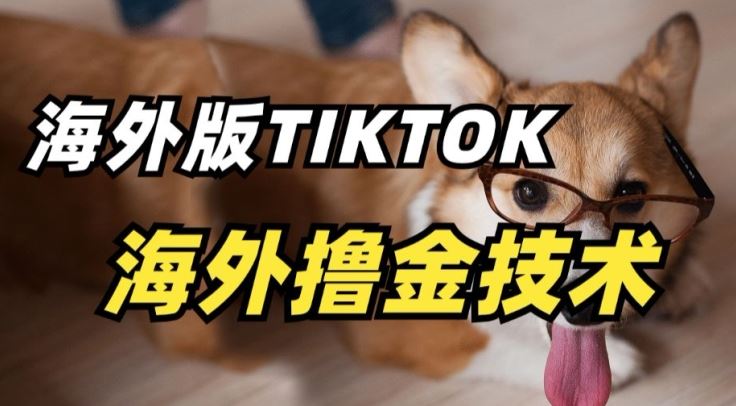 抖音海外版tiktok撸金技术，这个风口行业，赚钱真的不难【揭秘】-柠檬网创
