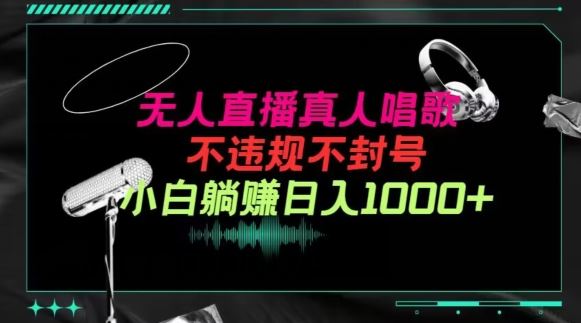 抖音24小时无人直播音乐，不违规，不封号纯撸音浪，小白实操当天日入1000+【揭秘】-柠檬网创