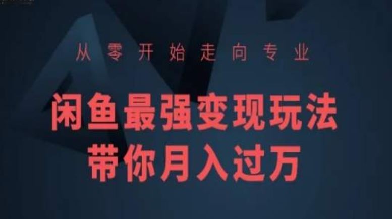 从零开始走向专业，闲鱼最强变现玩法带你月入过万-柠檬网创