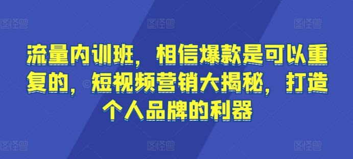 流量内训班，相信爆款是可以重复的，短视频营销大揭秘，打造个人品牌的利器-柠檬网创
