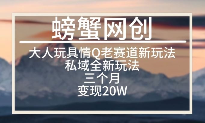 大人玩具情Q用品赛道私域全新玩法，三个月变现20W，老项目新思路【揭秘】-柠檬网创