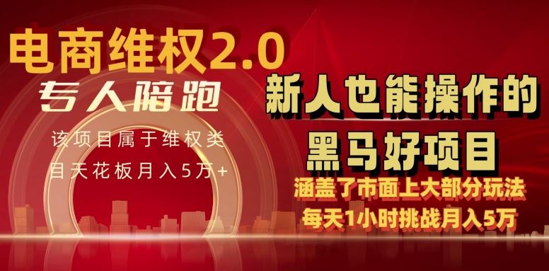 电商维权 4.0 如何做到月入 5 万+每天 1 小时新人也能快速上手【仅揭秘】-柠檬网创