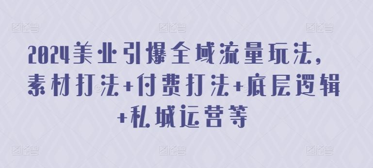2024美业引爆全域流量玩法，素材打法 付费打法 底层逻辑 私城运营等-柠檬网创
