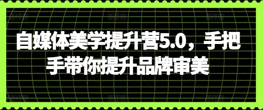 自媒体美学提升营5.0，手把手带你提升品牌审美-柠檬网创