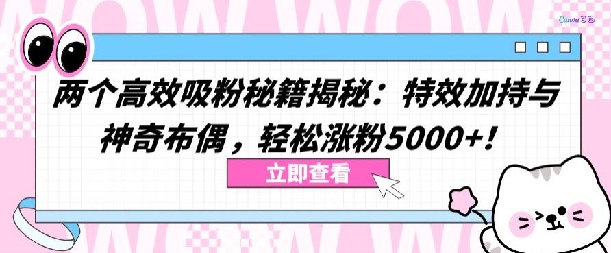 两个高效吸粉秘籍揭秘：特效加持与神奇布偶，轻松涨粉5000+【揭秘】-柠檬网创