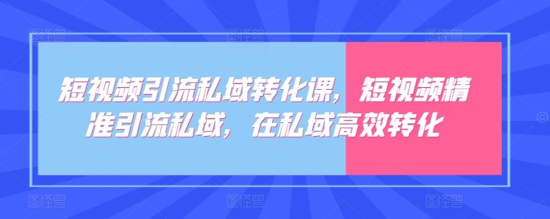 短视频引流私域转化课，短视频精准引流私域，在私域高效转化-柠檬网创