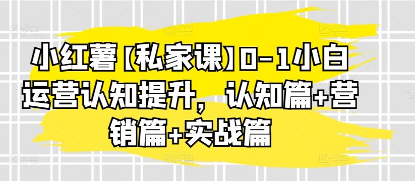 小红薯【私家课】0-1小白运营认知提升，认知篇+营销篇+实战篇-柠檬网创