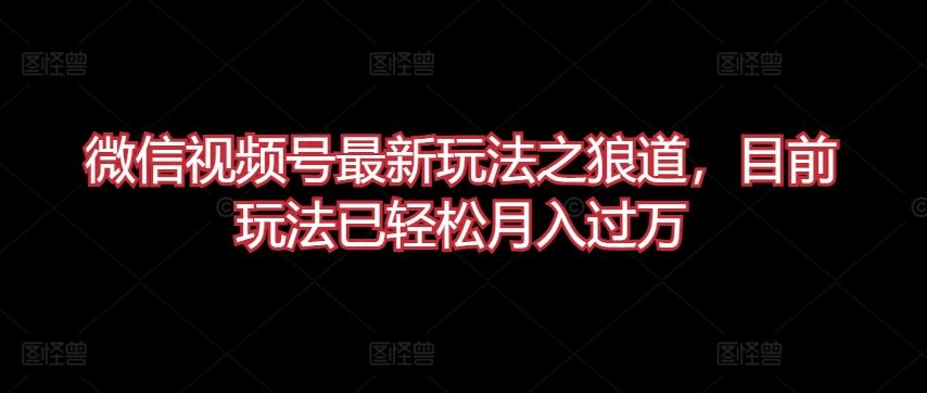 微信视频号最新玩法之狼道，目前玩法已轻松月入过万【揭秘】-柠檬网创