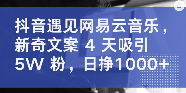 抖音遇见网易云音乐，新奇文案 4 天吸引 5W 粉，日挣1000+【揭秘】-柠檬网创