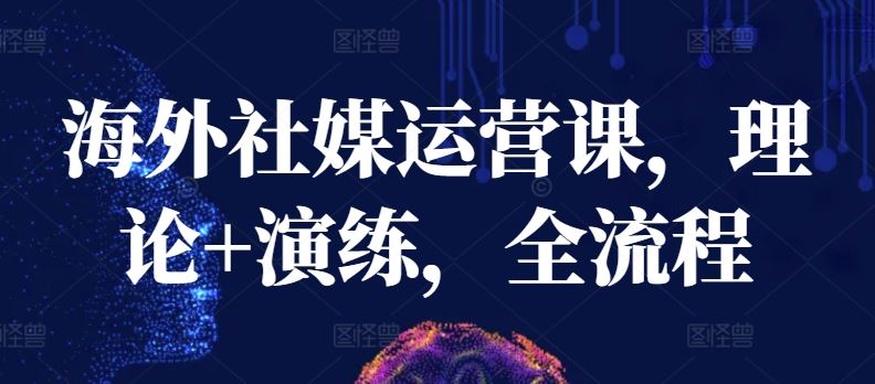 海外社媒运营课，理论+演练，全流程-柠檬网创