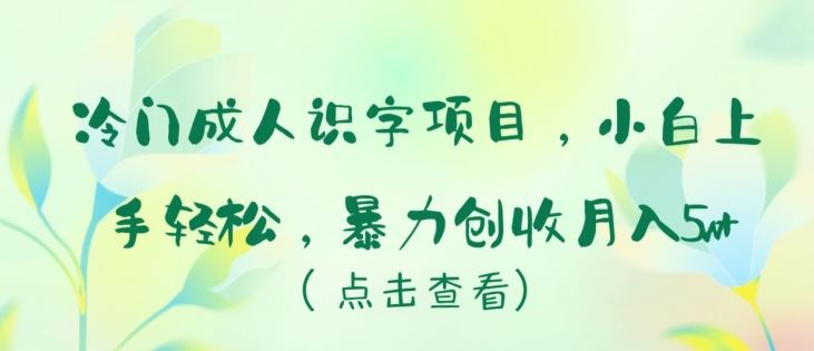 冷门成人识字项目，小白上手轻松，暴力创收月入5w+【揭秘】-柠檬网创