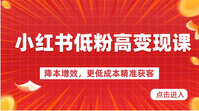 小红书低粉高变现课-降本增效，更低成本精准获客，小红书必爆的流量密码-柠檬网创