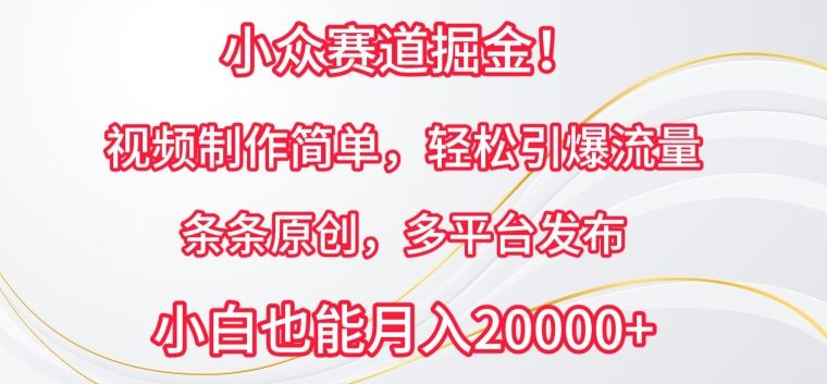 小众赛道掘金，视频制作简单，轻松引爆流量，条条原创，多平台发布【揭秘】-柠檬网创
