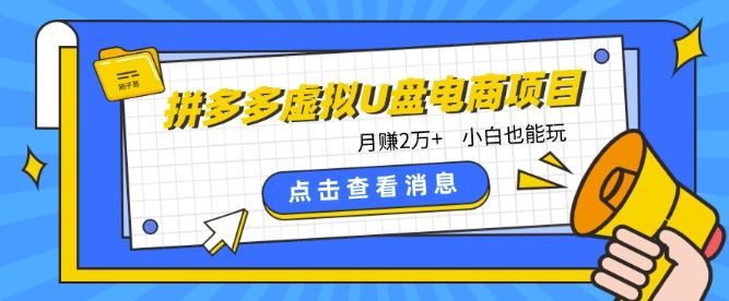 拼多多虚拟U盘电商红利项目：月赚2万+，新手小白也能玩-柠檬网创