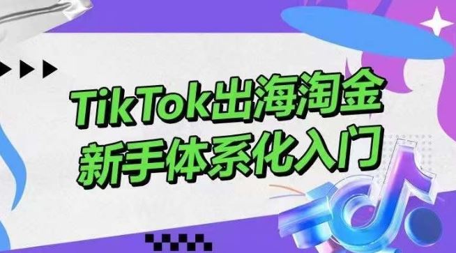 TikTok出海淘金，新手体系化入门，零基础快速入门，掌握短视频、直播带货等引流到变现的知识-柠檬网创