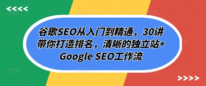 谷歌SEO从入门到精通，30讲带你打造排名，清晰的独立站+Google SEO工作流-柠檬网创