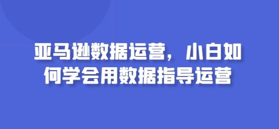 亚马逊数据运营，小白如何学会用数据指导运营-柠檬网创
