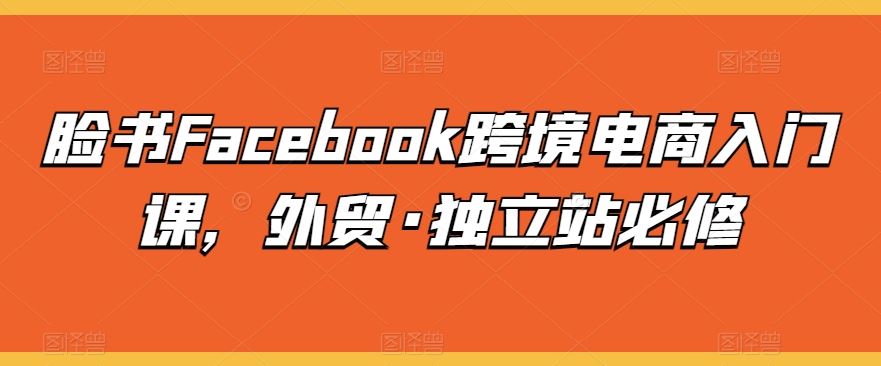 脸书Facebook跨境电商入门课，外贸·独立站必修-柠檬网创