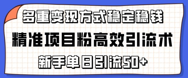 精准项目粉高效引流术，新手单日引流50+，多重变现方式稳定赚钱【揭秘】-柠檬网创