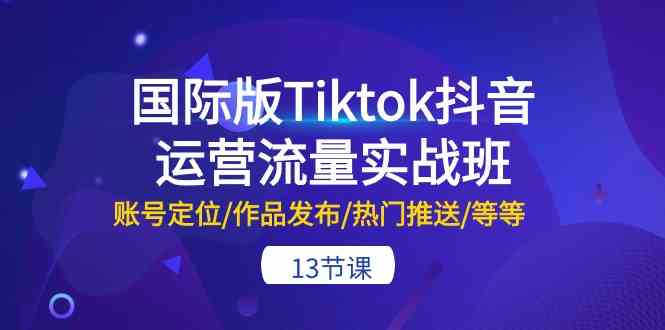 国际版Tiktok抖音运营流量实战班：账号定位/作品发布/热门推送/等等（13节）-柠檬网创