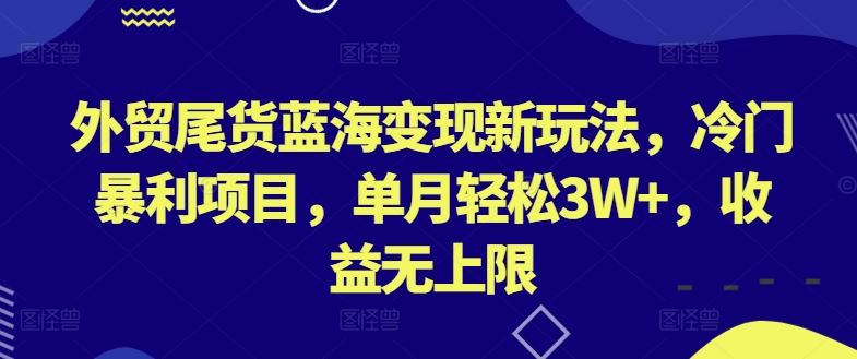 外贸尾货蓝海变现新玩法，冷门暴利项目，单月轻松3W+，收益无上限【揭秘】-柠檬网创