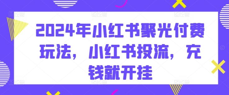 2024年小红书聚光付费玩法，小红书投流，充钱就开挂-柠檬网创