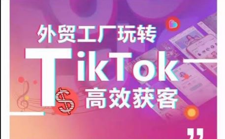 外贸工厂玩转TikTok高效获客，多种引流方式与账号定位技巧，拆解爆款短视频打造成功案例-柠檬网创