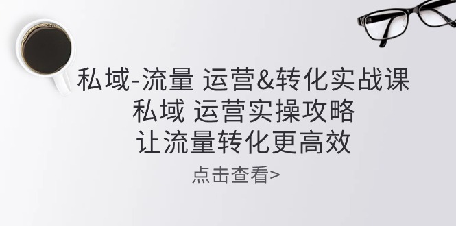 私域流量运营&转化实操课：私域运营实操攻略，让流量转化更高效-柠檬网创