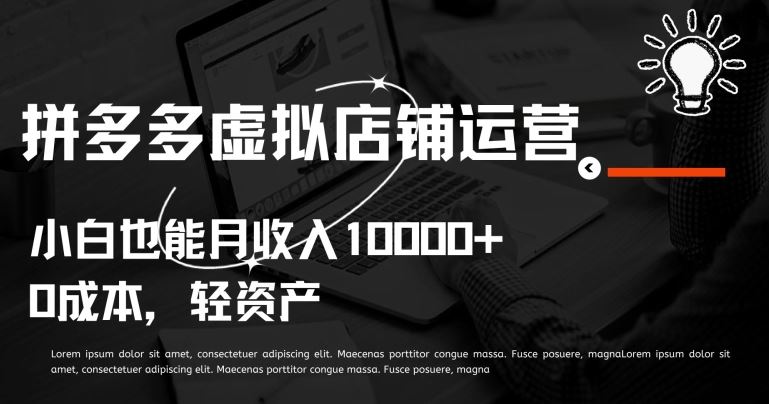 拼多多虚拟店铺运营小白也能月收入10000+【揭秘】-柠檬网创