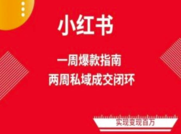 爆款小红书免费流量体系课程(两周变现)，小红书电商教程-柠檬网创