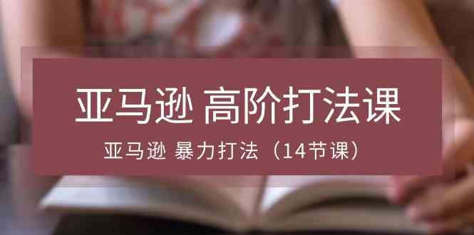 亚马逊高阶打法课，亚马逊暴力打法（14节课）-柠檬网创