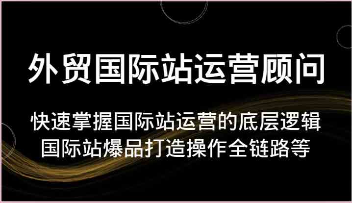 外贸国际站运营顾问-快速掌握国际站运营的底层逻辑，国际站爆品打造操作全链路等-柠檬网创