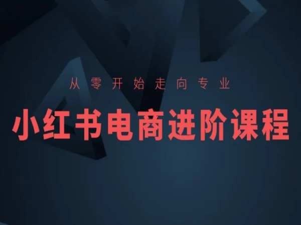 从零开始走向专业，小红书电商进阶课程-柠檬网创