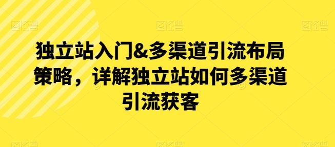 独立站入门&多渠道引流布局策略，详解独立站如何多渠道引流获客-柠檬网创
