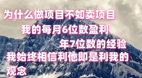 做项目不如卖项目，每月6位数盈利，年7位数经验-柠檬网创