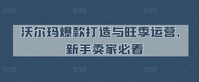 沃尔玛爆款打造与旺季运营，新手卖家必看-柠檬网创