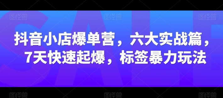 抖音小店爆单营，六大实战篇，7天快速起爆，标签暴力玩法-柠檬网创