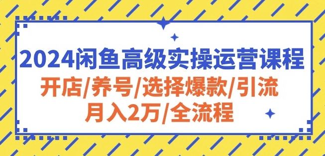 2024闲鱼高级实操运营课程：开店/养号/选择爆款/引流/月入2万/全流程-柠檬网创
