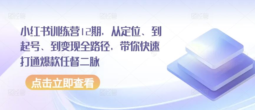 小红书训练营12期，从定位、到起号、到变现全路径，带你快速打通爆款任督二脉-柠檬网创