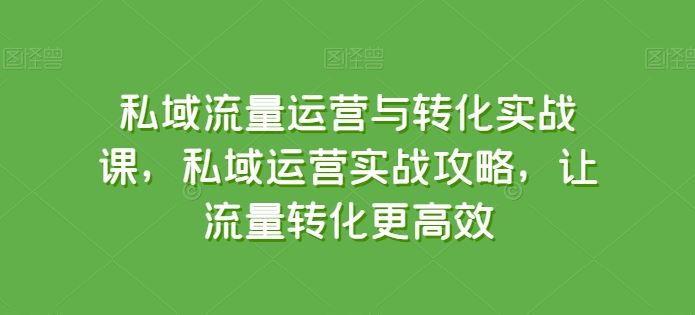 私域流量运营与转化实战课，私域运营实战攻略，让流量转化更高效-柠檬网创