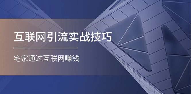 互联网引流实操技巧(适合微商，吸引宝妈)，宅家通过互联网赚钱（17节）-柠檬网创