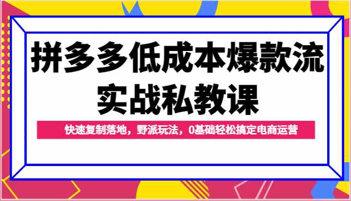拼多多低成本爆款流实战私教课，快速复制落地，野派玩法，0基础轻松搞定电商运营-柠檬网创