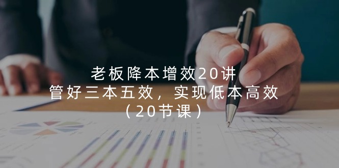 老板降本增效20讲，管好三本五效，实现低本高效（20节课）-柠檬网创