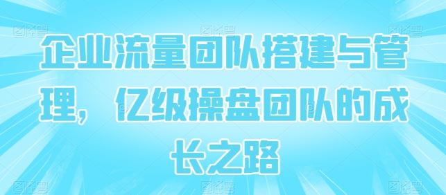 企业流量团队搭建与管理，亿级操盘团队的成长之路-柠檬网创