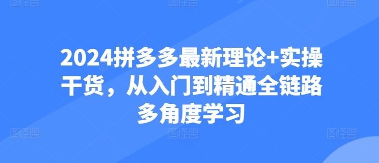 2024拼多多最新理论+实操干货，从入门到精通全链路多角度学习-柠檬网创