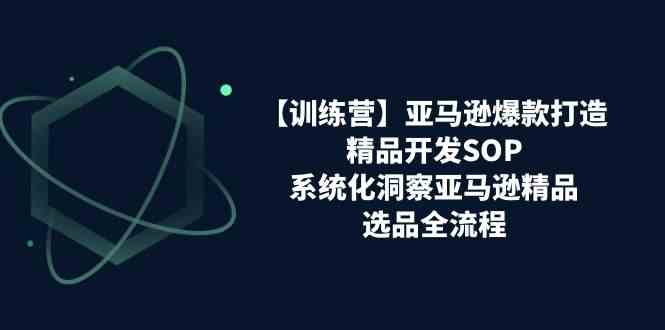 亚马逊爆款打造之精品开发SOP【训练营】，系统化洞察亚马逊精品选品全流程-柠檬网创
