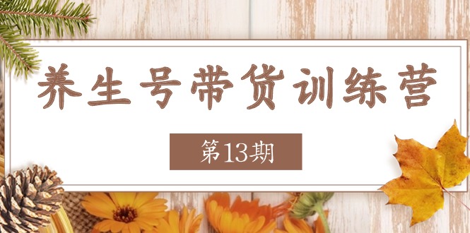 养生号带货训练营【第13期】收益更稳定的玩法，让你带货收益爆炸-柠檬网创