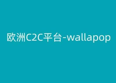欧洲C2C平台-wallapop-kim跨境电商教程-柠檬网创