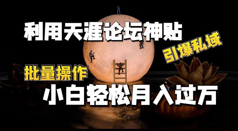 利用天涯论坛神贴，引爆私域，批量操作，小白轻松月入过w【揭秘】-柠檬网创